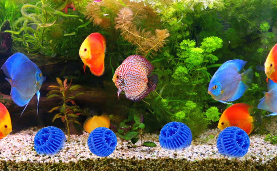 Best-Aquarium-Filter-for-Large-Tanks